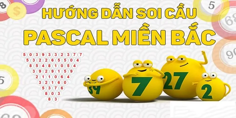 Những hướng dẫn cụ thể cho người mới